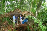 TRUE JUNGLE EXPERIENCE